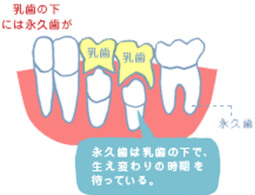 板橋ステーション歯科の小児歯科